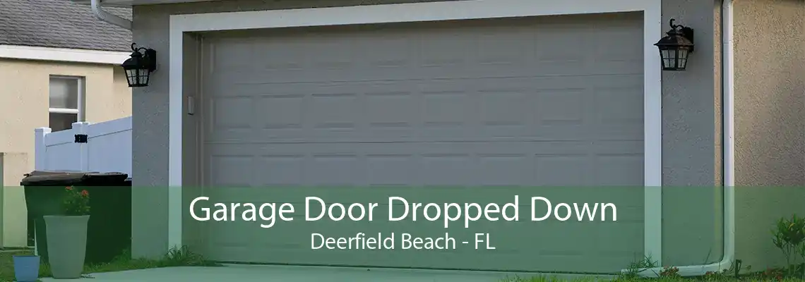 Garage Door Dropped Down Deerfield Beach - FL